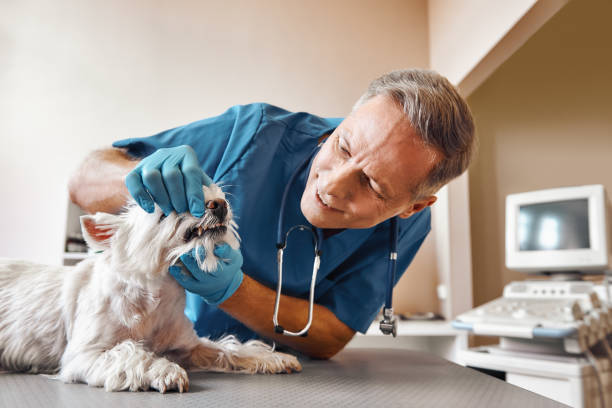 Best Emergency Care for Gum Disease in Red Bank, SC